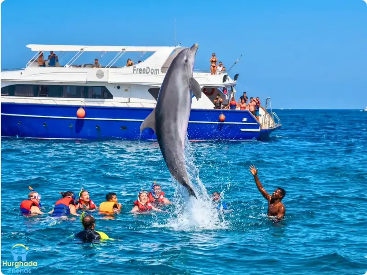 Hurghada: Dolphin Speedboat & Sea Scooter Snorkeling Private Speedboat Tour